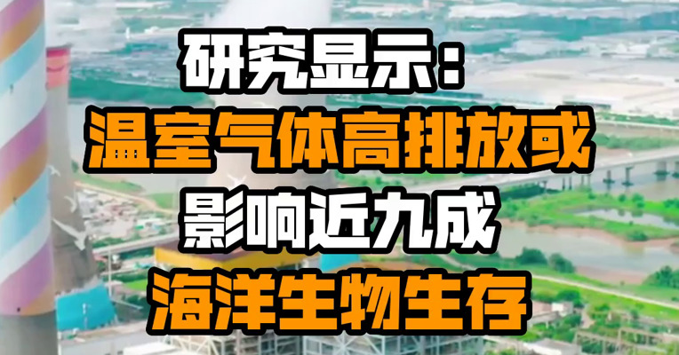 研究显示：温室气体高排放或影响近九成海洋生物生存