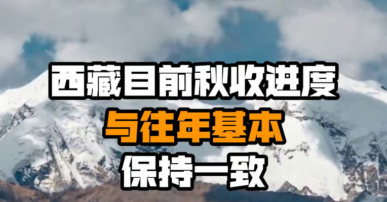 西藏目前秋收进度与往年基本保持一致