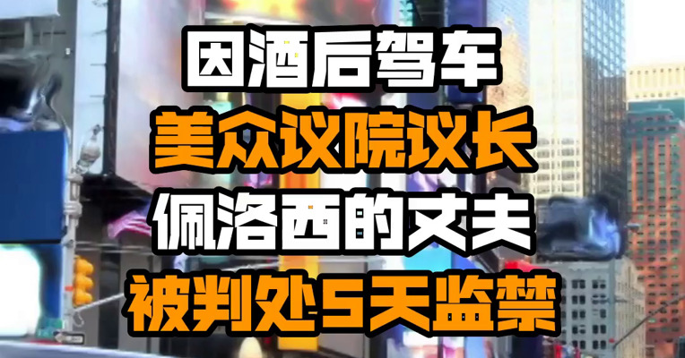 因酒后驾车 美众议院议长佩洛西的丈夫被判处5天监禁