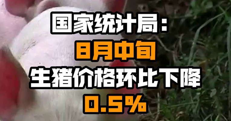 国家统计局：8月中旬生猪价格环比下降0.5%