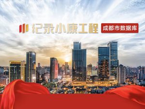 纪录小康工程丨成都市数据库