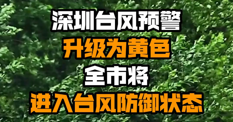 深圳台风预警升级为黄色 全市将进入台风防御状态