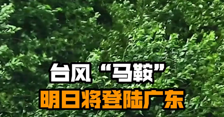 台风“马鞍”明日将登陆广东