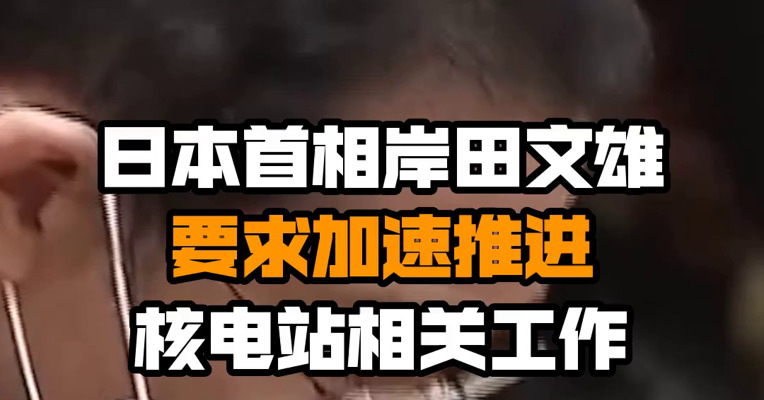 日本首相岸田文雄要求加速推进核电站相关工作