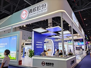 光伏龙头通威股份董事长谢毅：目前N型硅料已批量出货