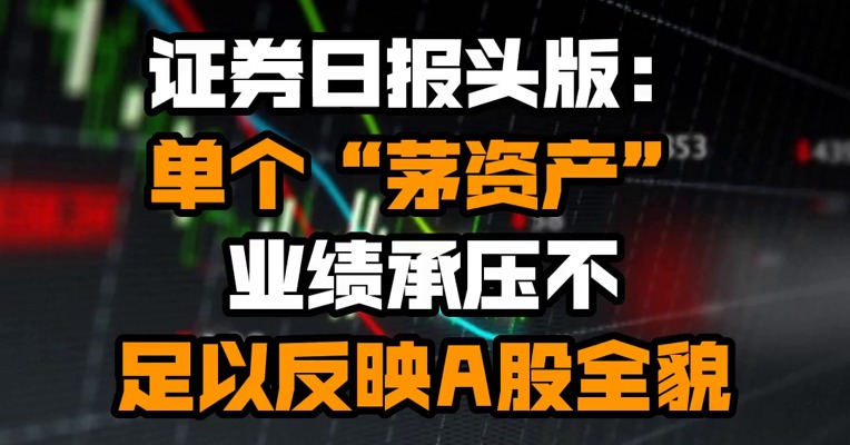 证券日报头版：单个“茅资产”业绩承压不足以反映A股全貌