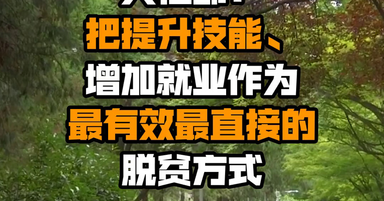 人社部：把提升技能、增加就业作为最有效最直接的脱贫方式