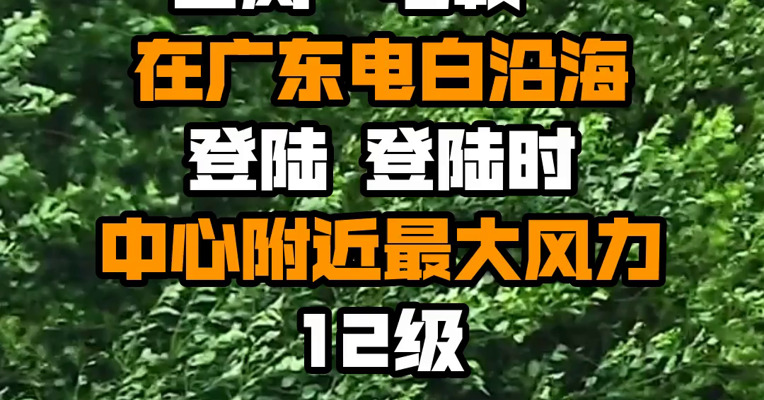 台风“马鞍”在广东电白沿海登陆 登陆时中心附近最大风力12级