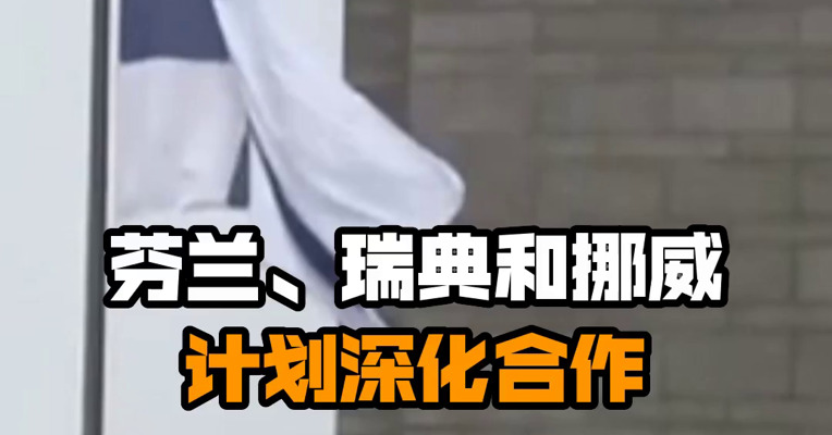 芬兰、瑞典和挪威计划深化合作