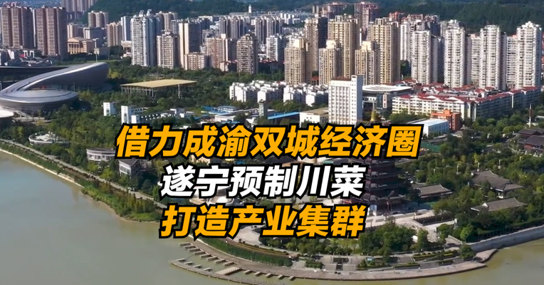 借力成渝双城经济圈 遂宁预制川菜打造产业集群