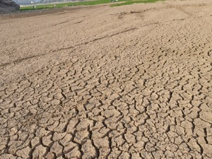 水位下降、土壤干旱 鄱阳湖湖面“大缩水” 九江“五保五送”抗旱情