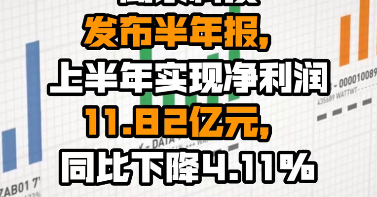 闻泰科技发布半年报，上半年实现净利润11.82亿元，同比下降4.11%