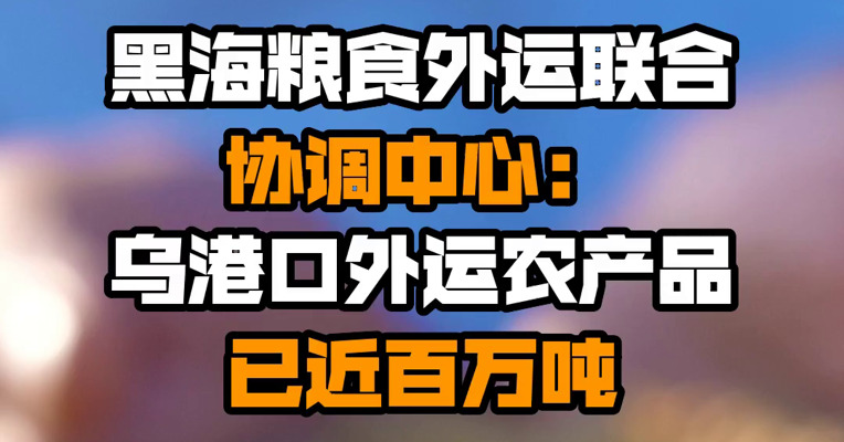 黑海粮食外运联合协调中心：乌港口外运农产品已近百万吨