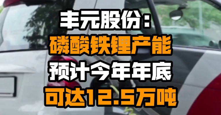 丰元股份：磷酸铁锂产能预计今年年底可达12.5万吨