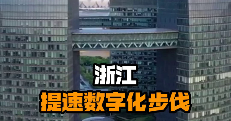浙江提速数字化步伐