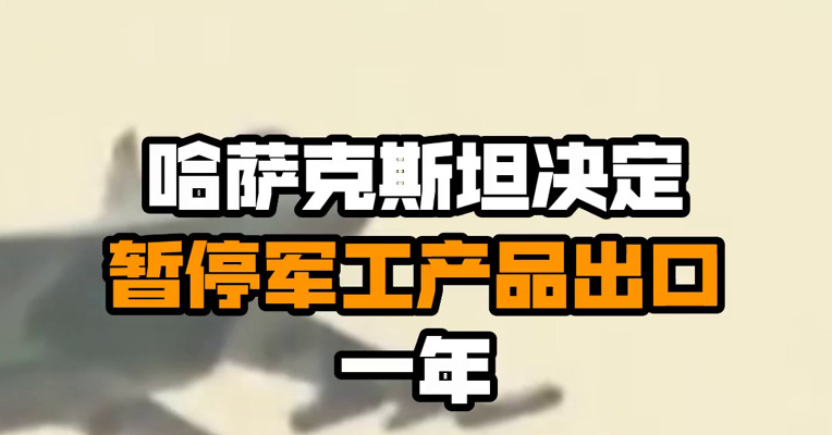 哈萨克斯坦决定暂停军工产品出口一年