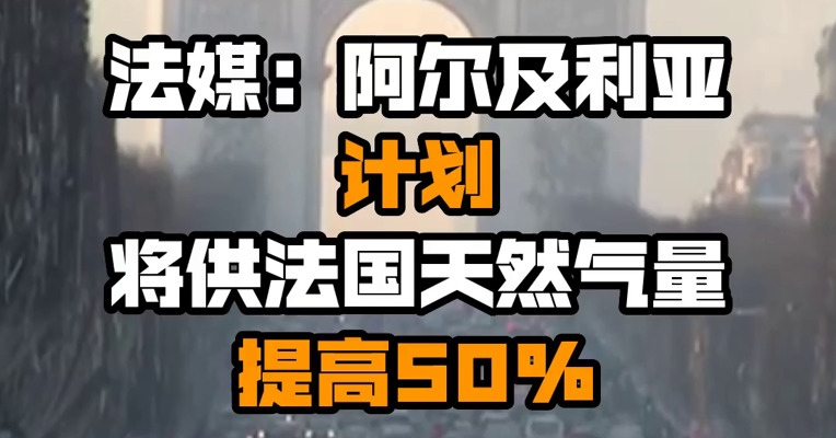 法媒：阿尔及利亚计划将供法国天然气量提高50%