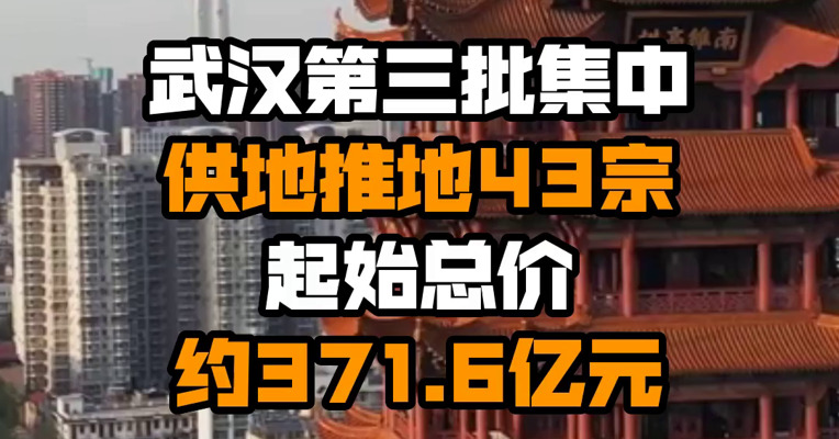 武汉第三批集中供地推地43宗 起始总价约371.6亿元