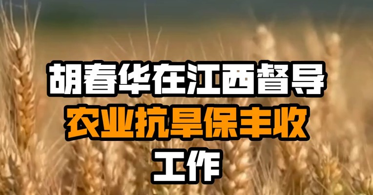 胡春华在江西督导农业抗旱保丰收工作