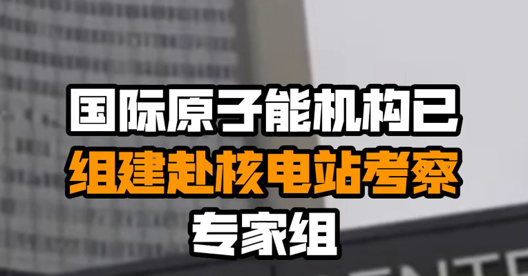 国际原子能机构已组建赴核电站考察专家组