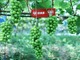 Viqahcicem1661746804026.thumb_hs