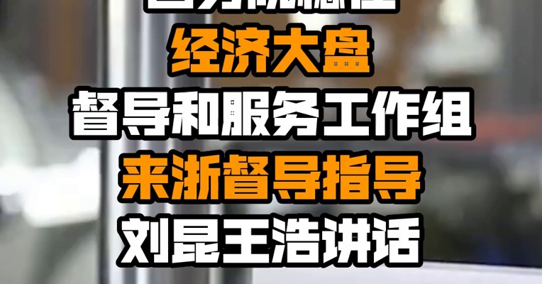国务院稳住经济大盘督导和服务工作组来浙督导指导 刘昆王浩讲话