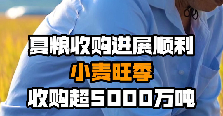 夏粮收购进展顺利 小麦旺季收购超5000万吨