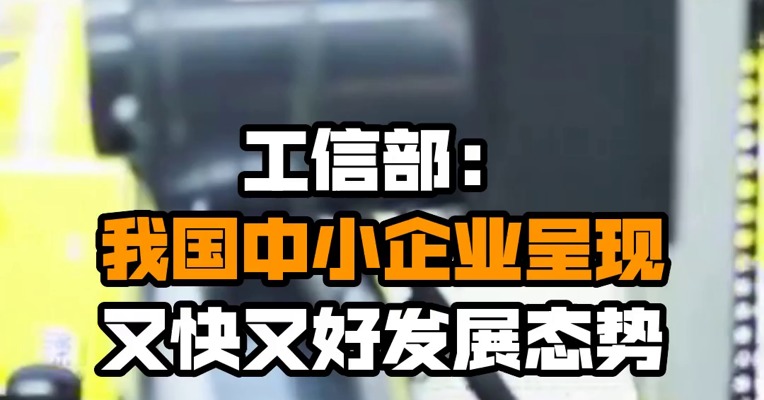 工信部：我国中小企业呈现又快又好发展态势