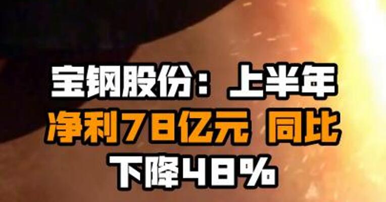 宝钢股份：上半年净利78亿元 同比下降48%
