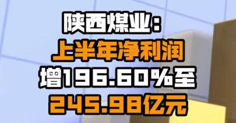 陕西煤业：上半年净利润增196.60%至245.98亿元