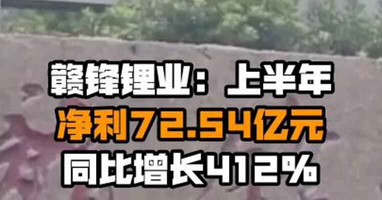 赣锋锂业：上半年净利72.54亿元 同比增长412%