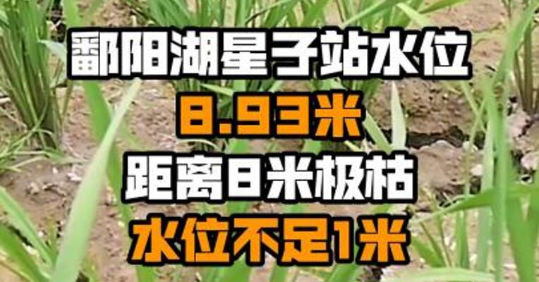 鄱阳湖星子站水位8.93米 距离8米极枯水位不足1米