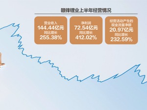 赣锋锂业上半年净利润大增4倍 锂盐产销量为何仍不及预期？