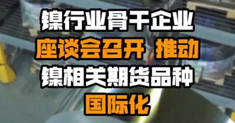 镍行业骨干企业座谈会召开 推动镍相关期货品种国际化