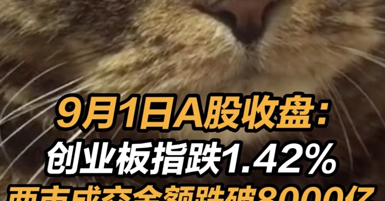 9月1日A股收盘：创业板指跌1.42%， 两市成交金额跌破8000亿 