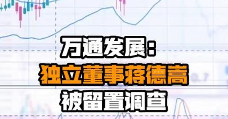 万通发展：独立董事蒋德嵩被留置调查