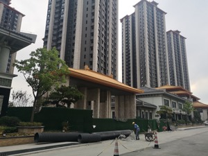 区域新盘观察 | 囤地10余年、低价送精装仍滞销，这个上海楼盘为何网签垫底？