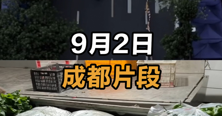 9月2日 成都片段