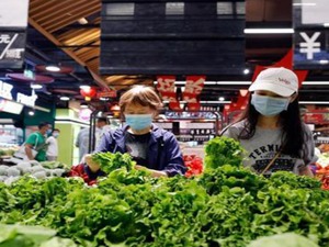 “又囤了个寂寞”，超大城市到底会不会缺菜？