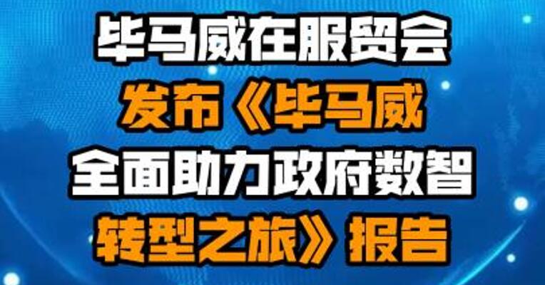 毕马威在服贸会发布《毕马威全面助力政府数智转型之旅》报告