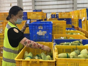 战疫一线 |  成都抗疫保供实录：生产端“管够”，零售端“不断货”，骑手汗洒“最后一公里”
