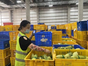 成都抗疫保供实录：生产端“管够”，零售端“不断货”