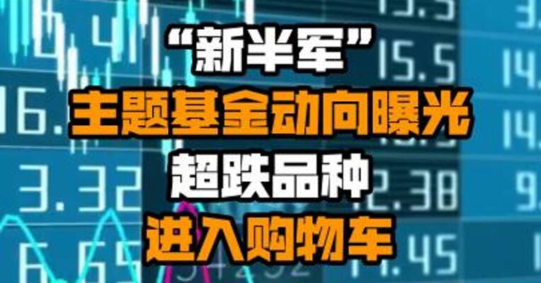 “新半军”主题基金动向曝光 超跌品种进入购物车
