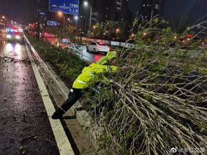 超强台风“轩岚诺”来袭，上海风大雨疾，航空公司紧急“绑飞机”，多个景区关闭！浙江不少人半夜被大风惊醒，又一地停课