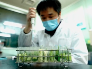 承诺不使用禁用农药的规定入法 农业农村部回应每经：要确保流通中的农产品来源可溯、去向可追