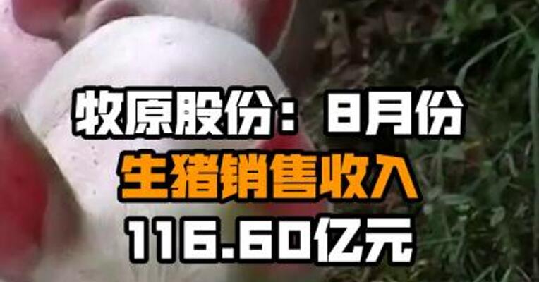 牧原股份：8月份生猪销售收入116.60亿元
