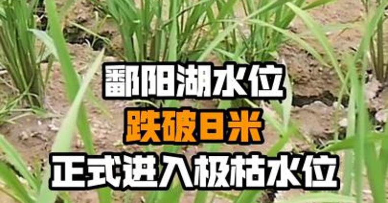 鄱阳湖水位跌破8米 正式进入极枯水位