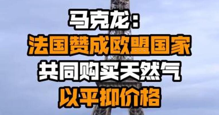 马克龙：法国赞成欧盟国家共同购买天然气以平抑价格