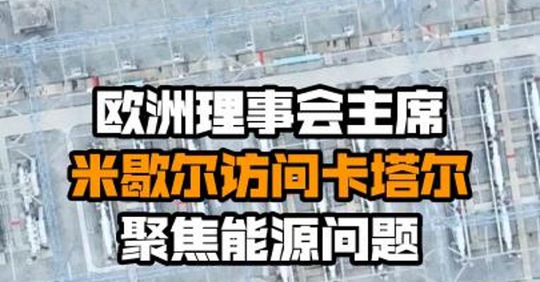 欧洲理事会主席米歇尔访问卡塔尔  聚焦能源问题