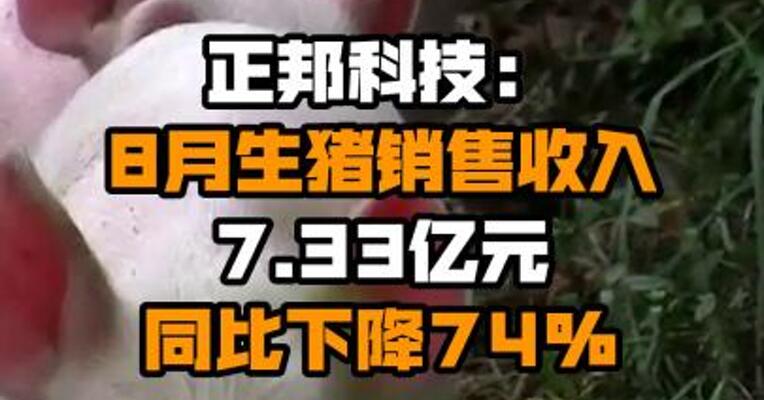 正邦科技：8月生猪销售收入7.33亿元 同比下降74%